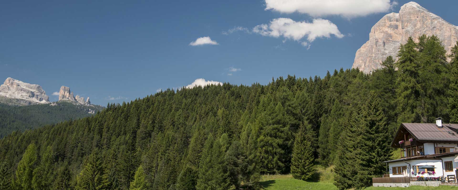 Header_Piccolo-Pocol